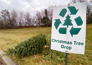 Logan City offers residents 10 drop off sites for live Christmas tree disposal