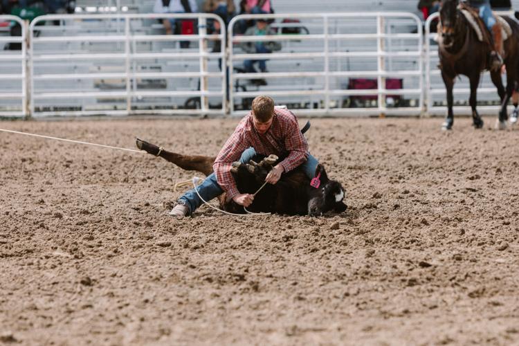 Photos of Bear Lake district rodeo at the fairgrounds in Montpelier ...