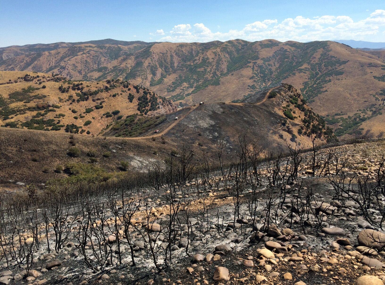 Target shooting temporarily banned in six Cache County WMAs due to fire