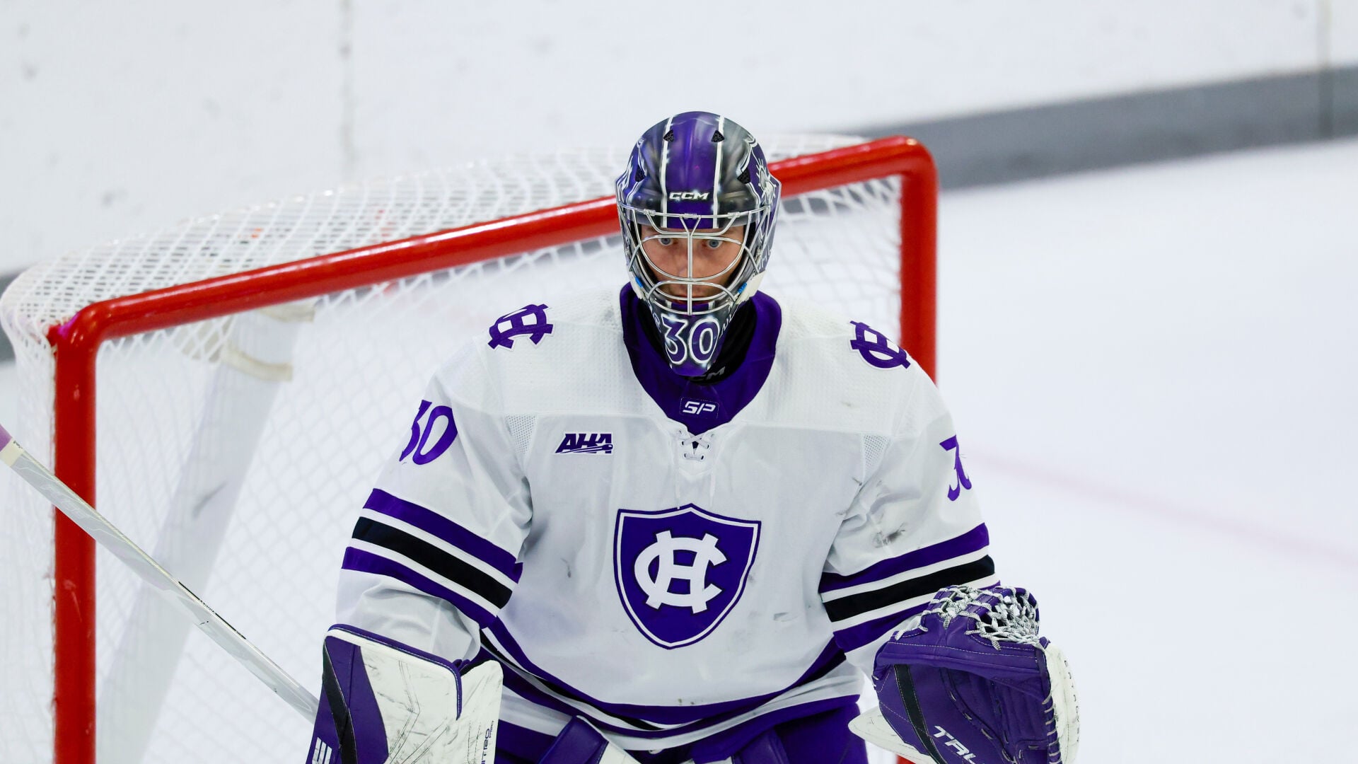 Cross Angry Holy Cross Hockey | National Sports | hjnews.com