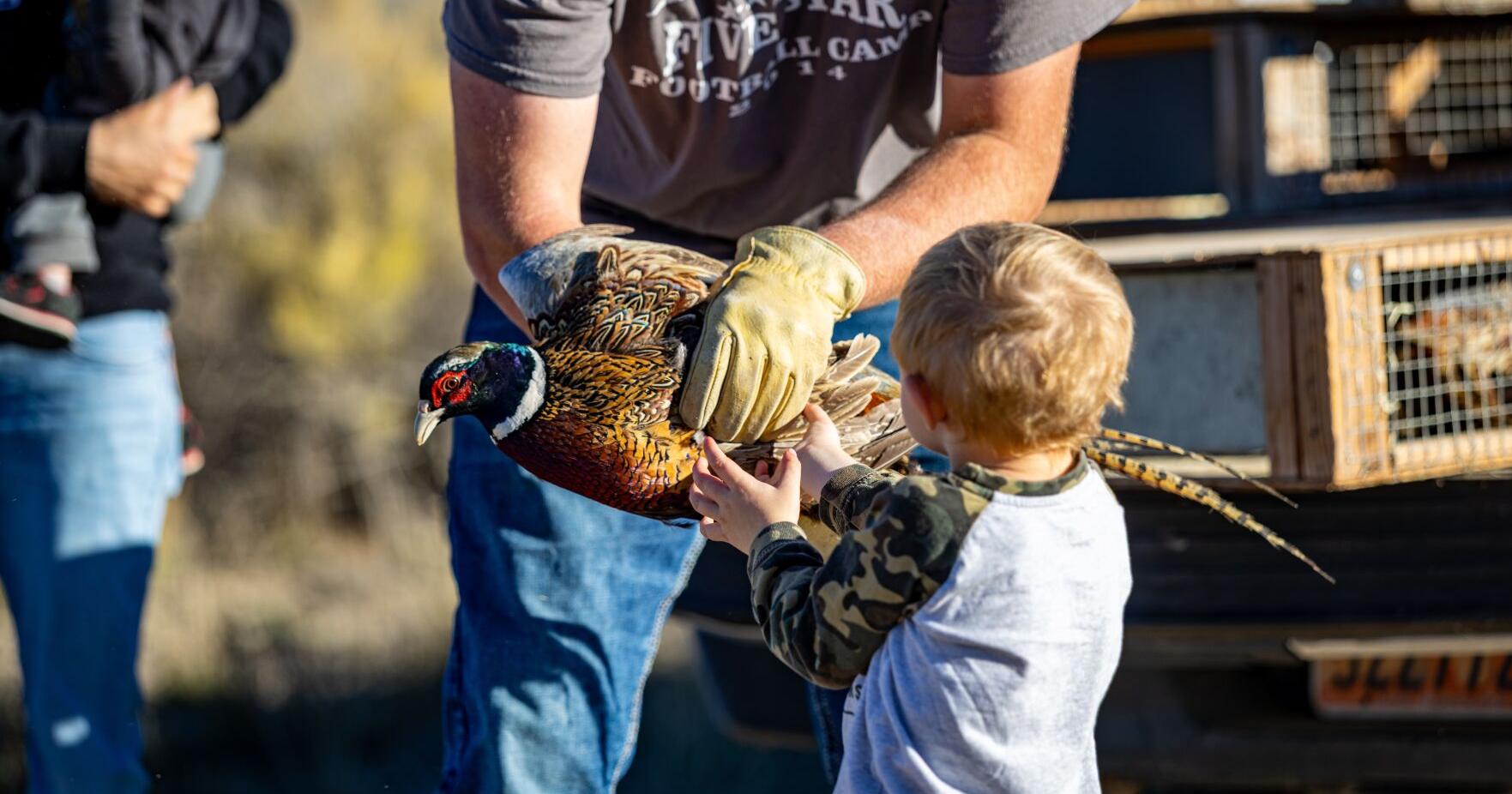 DWR says volunteers provided 62 , 417 hours of service in 2025