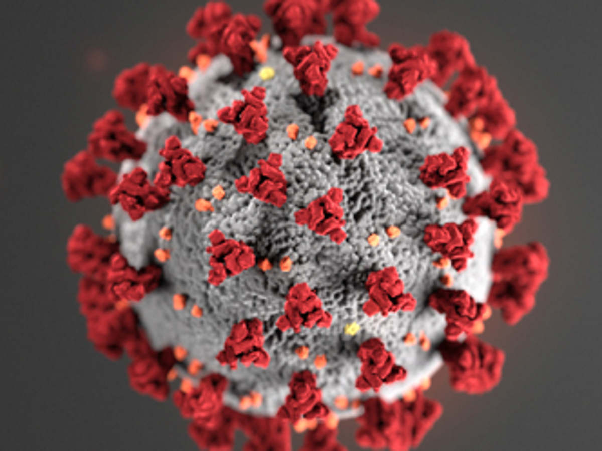 Fc Coronavirus Update June 25 Preston Citizen Hjnews Com