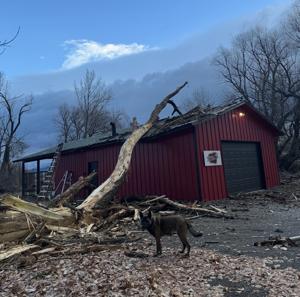 Community supports Logan business owners after tree damaged roastery