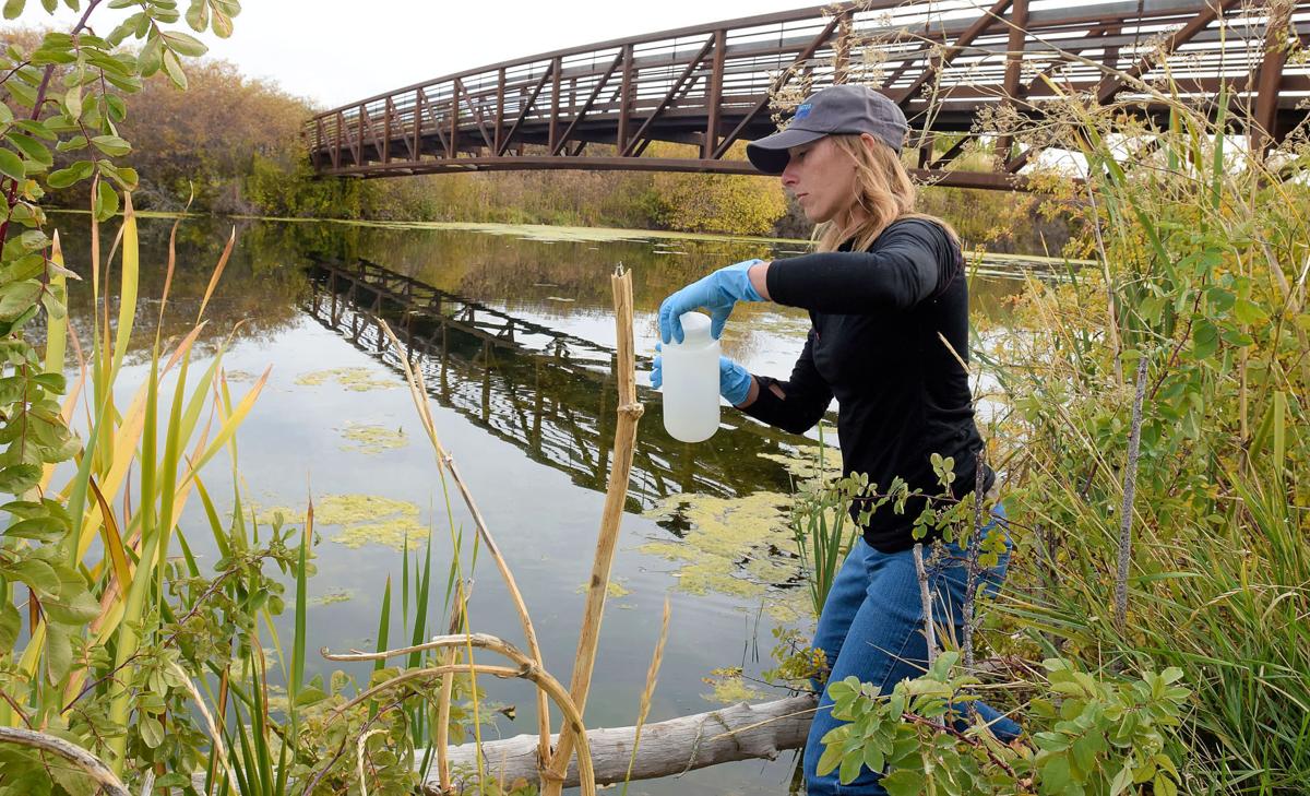 What's up With That? Wellsville reservoir algae not toxic The Herald