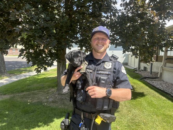 Officer Coal and Johnson