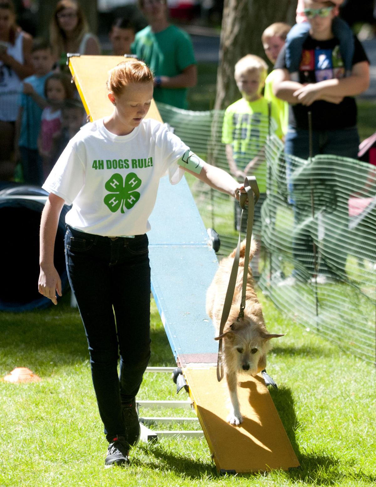 4-h-dog-program-thrives-at-cache-county-fair-one-month-after-office