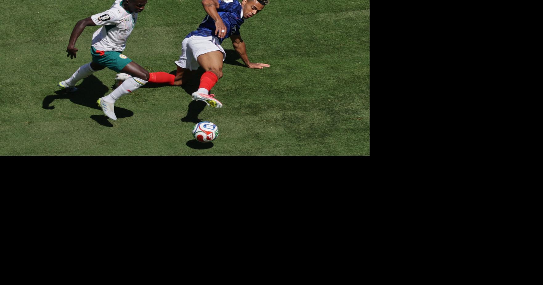 APTOPIX Senegal France WCup Soccer
