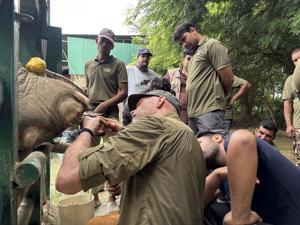 Wildlife SOS expands international collaboration to advance elephant care