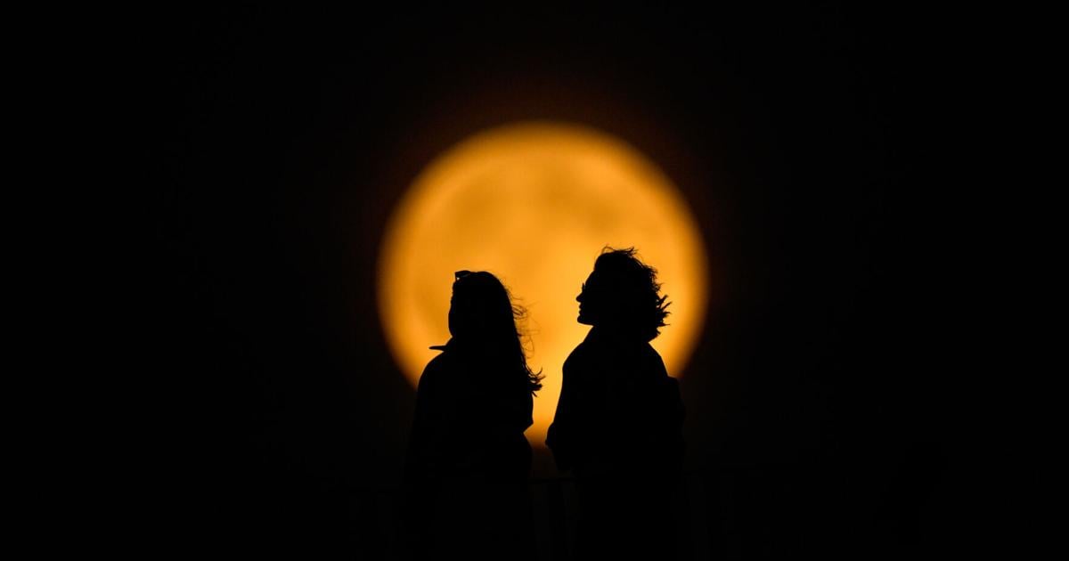 APTOSCOPY Turkey’s Lunar Fullness APTOSCOPY Turkey’s Lunar Fullness