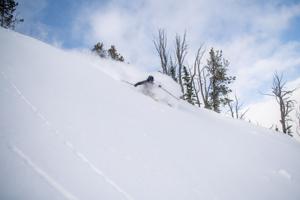 Local company offers first commercially guided backcountry ski tours this season