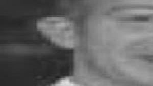 Pehrson Ripplinger Hjnews Com