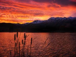 Twilight Mirror