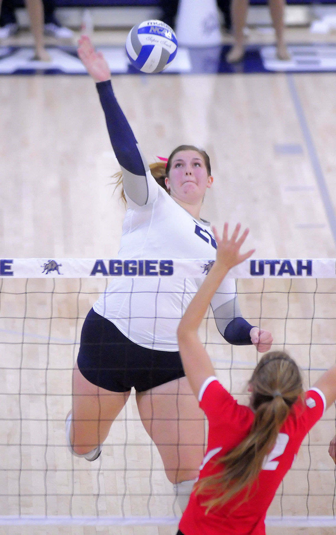 Photo Gallery New MexicoUtah State Volleyball Multimedia