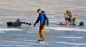 Wildart: Nature's Rink