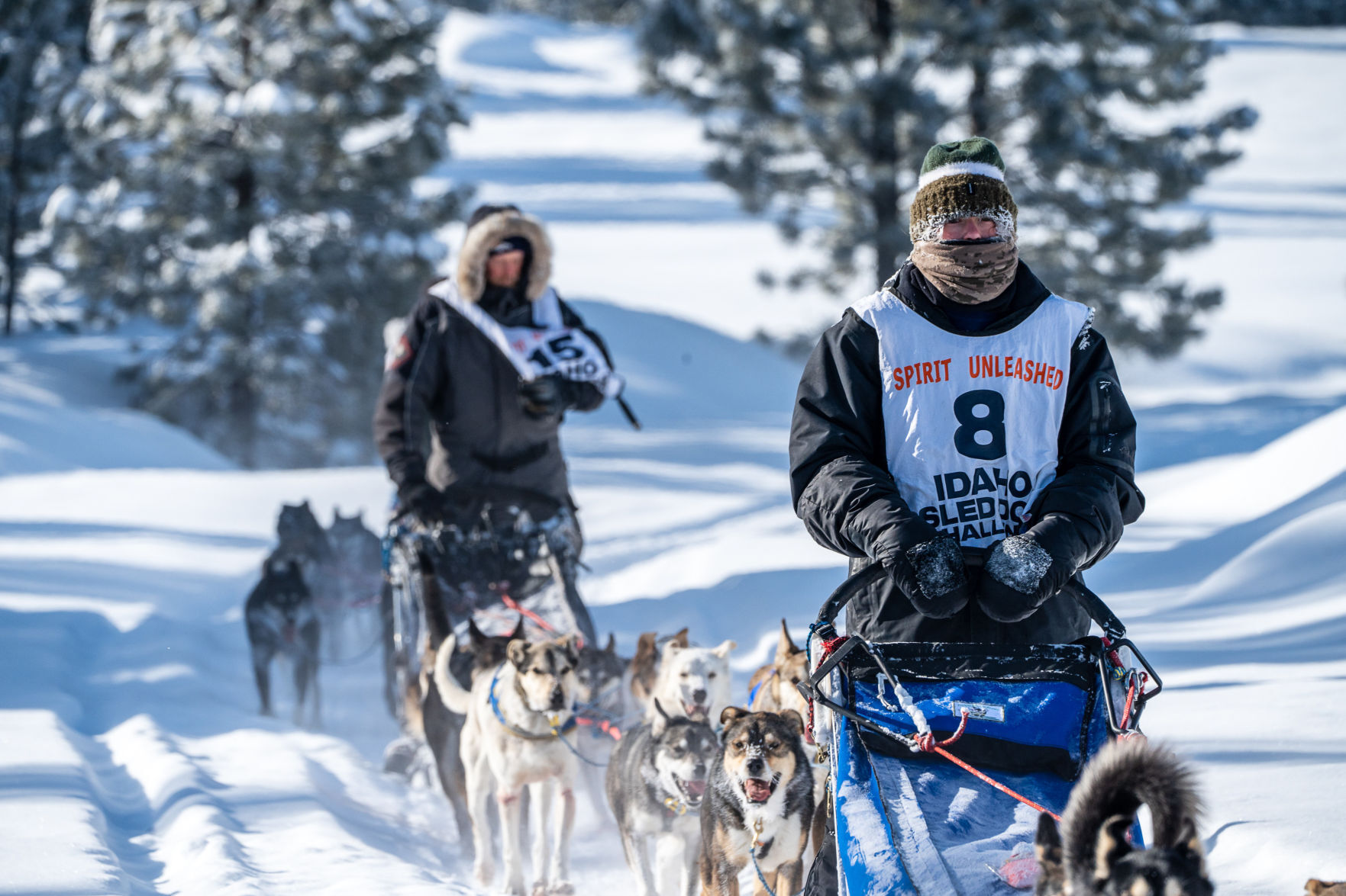 The Mushing Mumfords: Local family earns top-10 finishes in Idaho