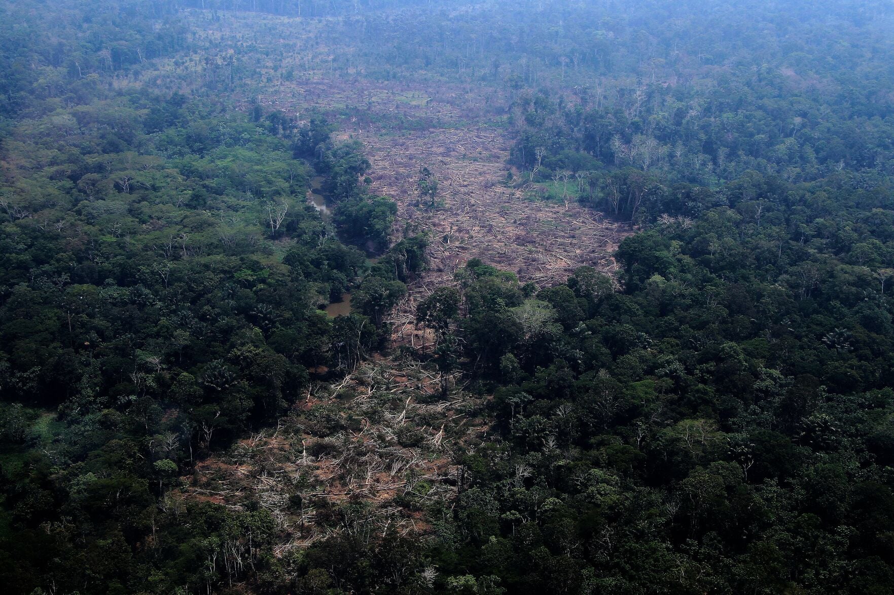 Brazil Election Amazon Tipping Point | World | hjnews.com