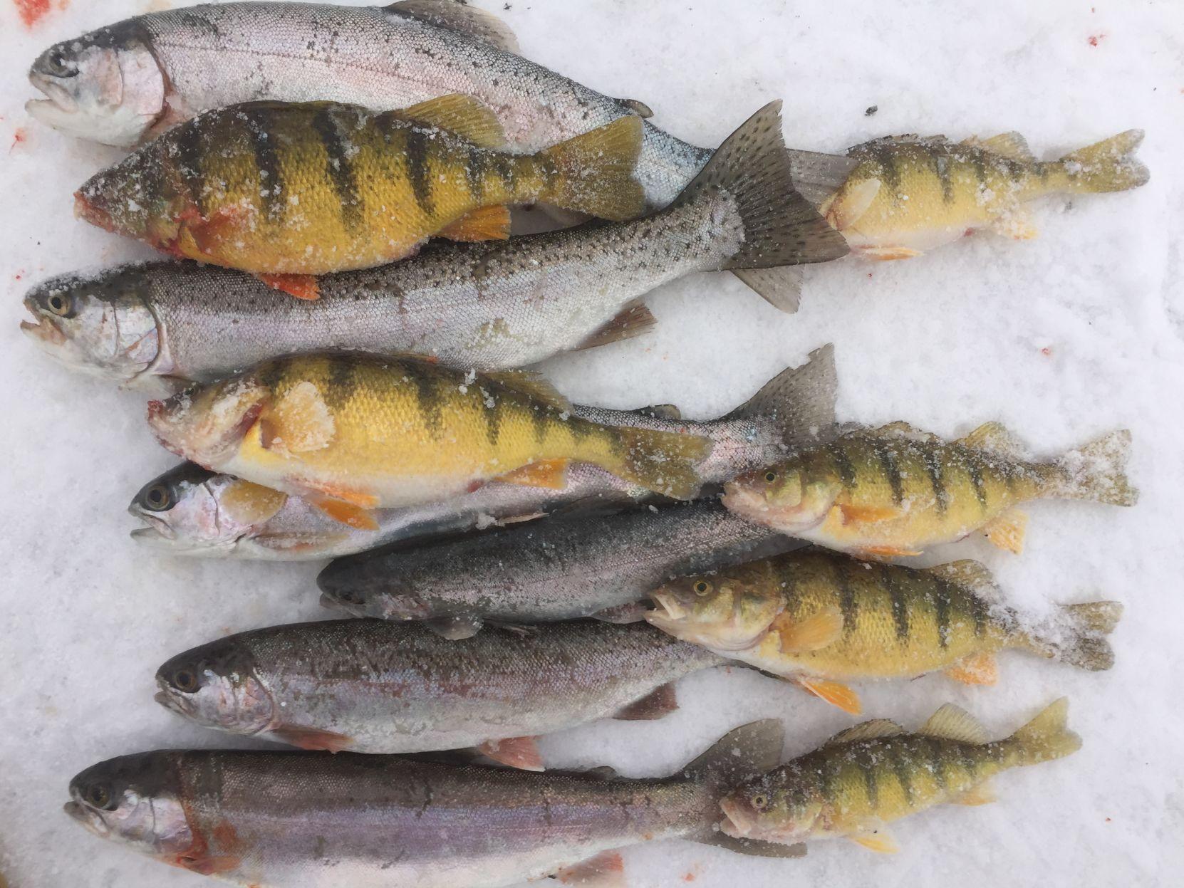 With ice fishing season here, some tips and strategies