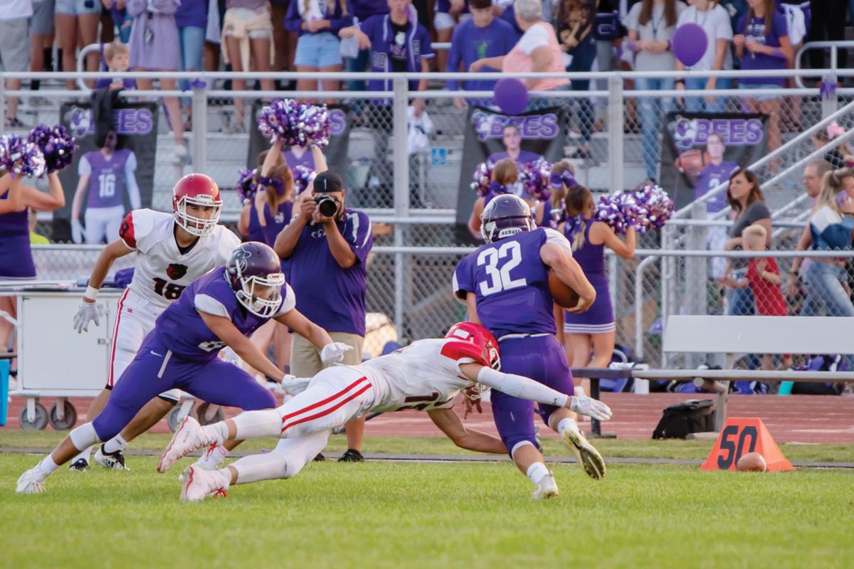 Bees Take Back Golden Spike In Brigham City Tremonton Leader