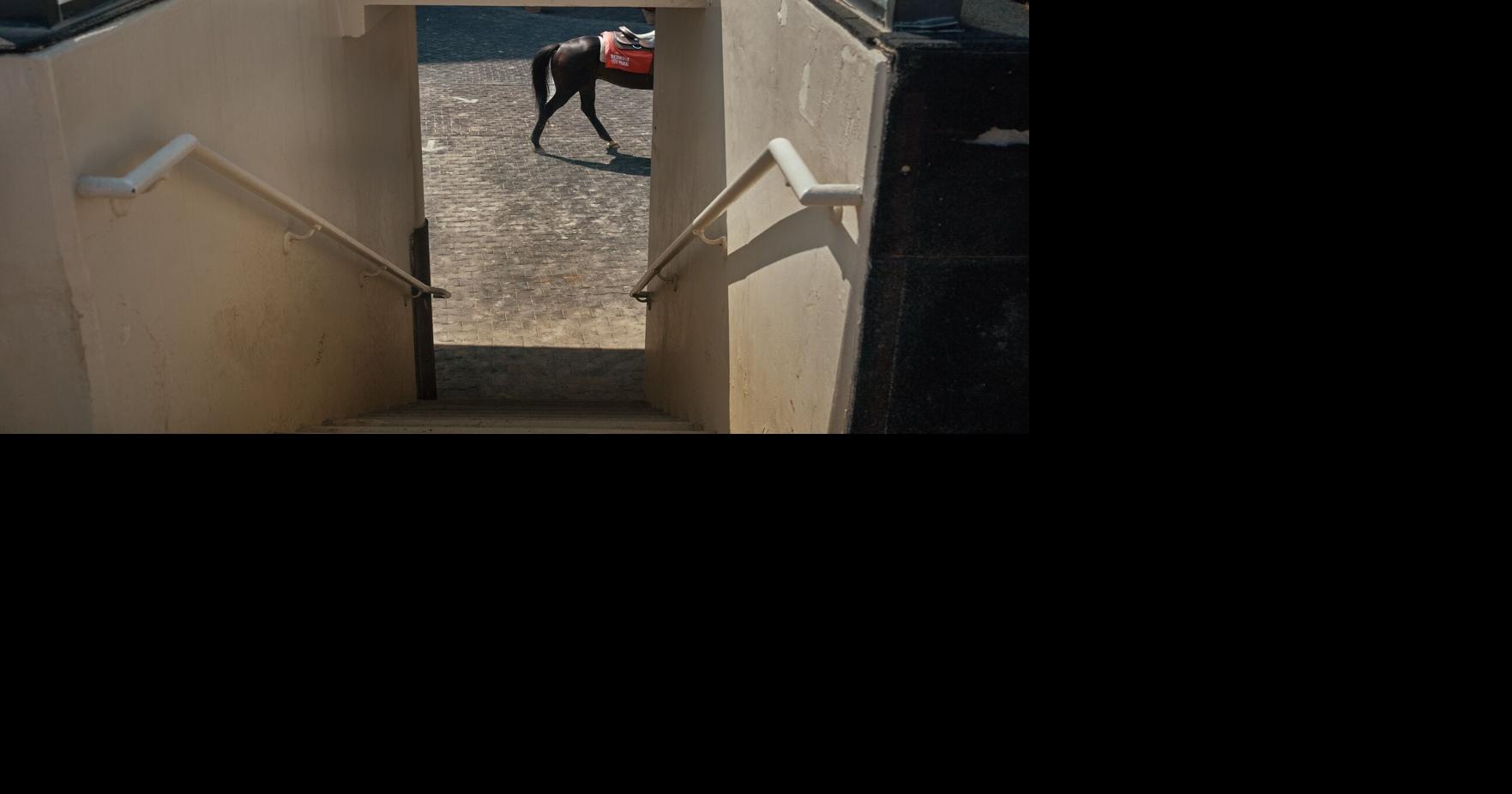 Unseen Handler Leads Horse Into Final Race at New York’s Aqueduct Track