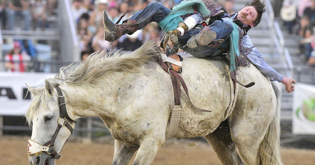 Cache County Rodeo 2026 Cache County Rodeo draws big names | Local Sports | hjnews.com