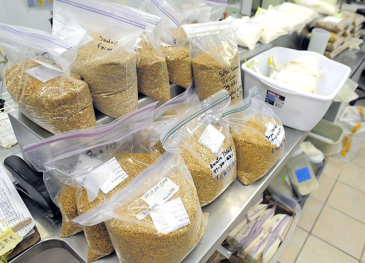 Cache Biz Central Milling Company, one of Utah's oldest businesses