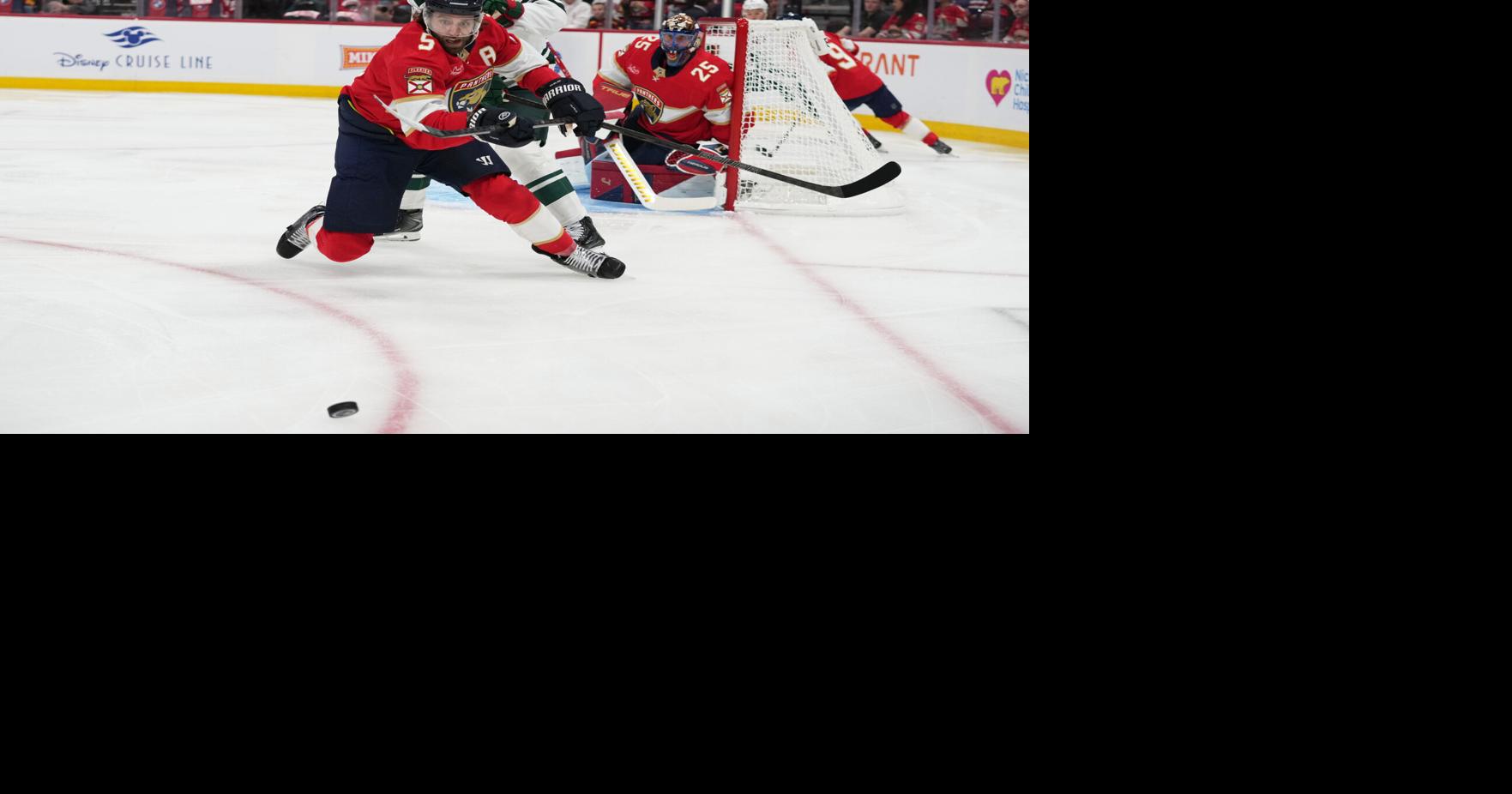 Wild Panthers Hockey