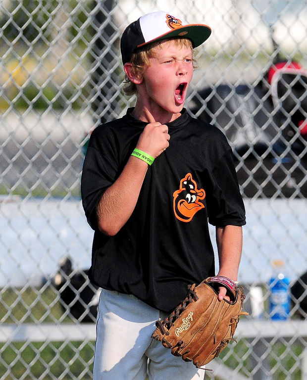 cache valley youth baseball