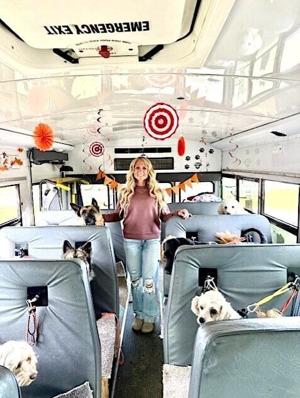 'Dog Bus Lady' creates 'Dog Day Adventures'