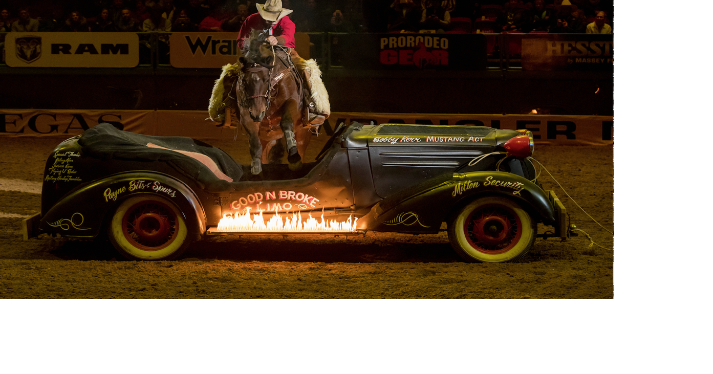 Once wild mustangs featured in specialty act for That Famous Preston ...