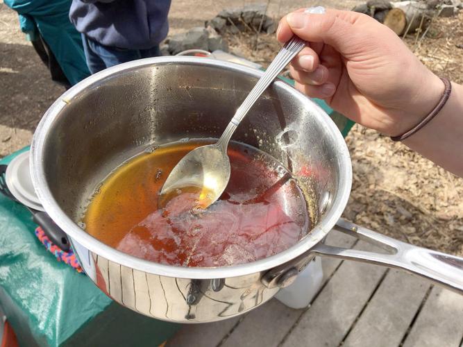 Not just in Vermont: Stokes Nature Center teaches people to ...