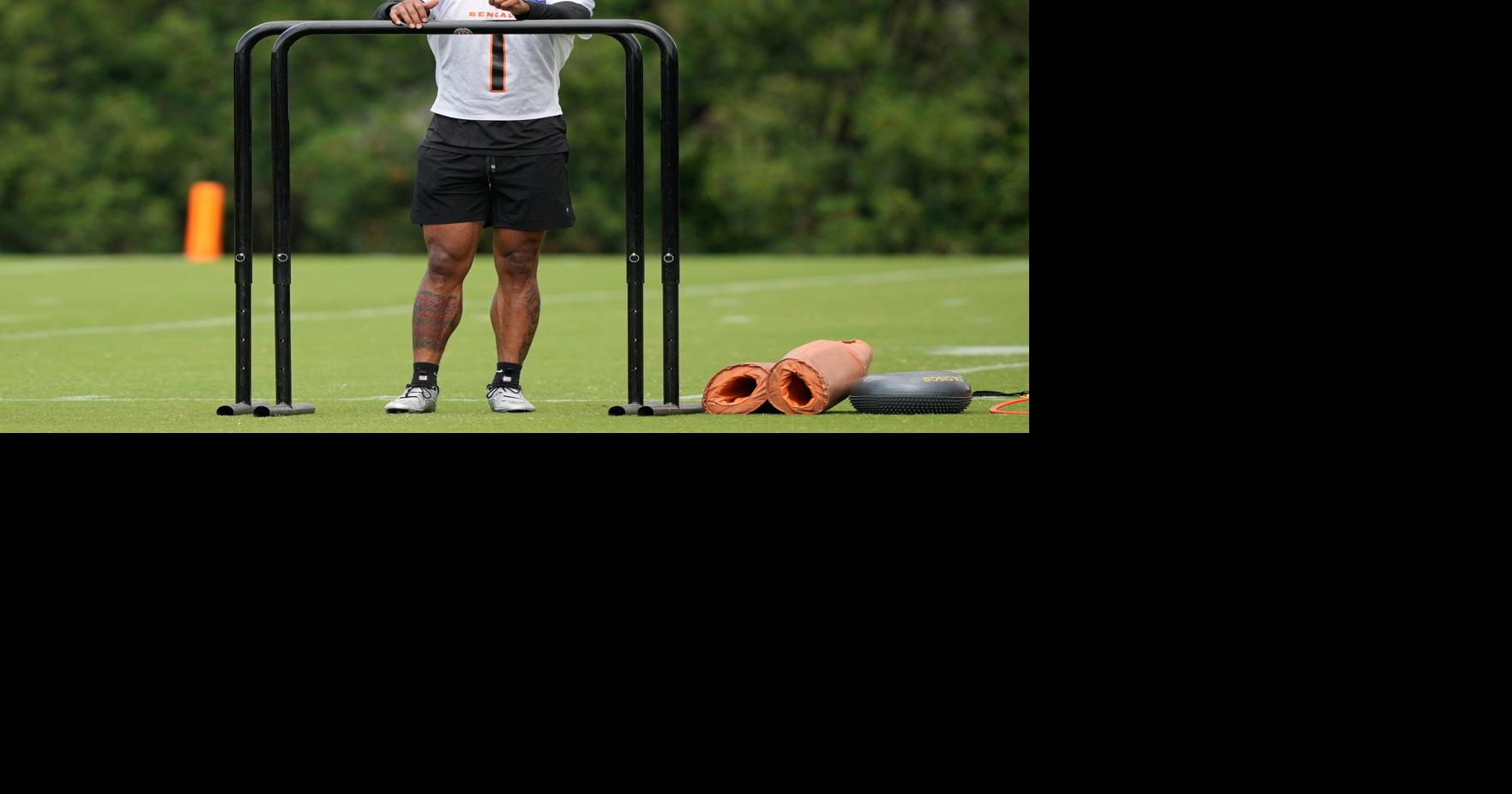 Bengals Football