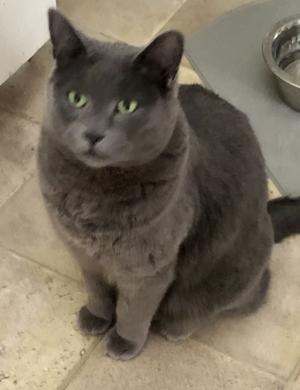 PETS OF THE WEEK