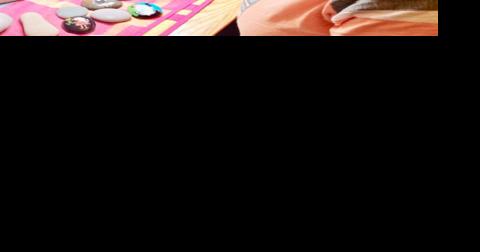 Valley artist makes community game of painted stones - Vimarsana News