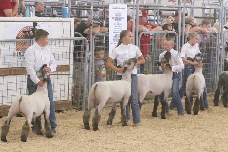 A huge turnout Junior livestock auction breaks sales record