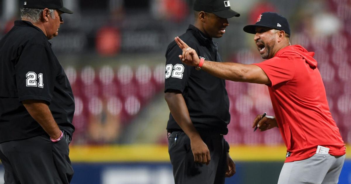 Cardinals Reds Baseball | National Sports | hjnews.com
