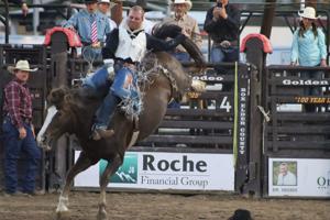Golden Spike Rodeo: The final leaderboard