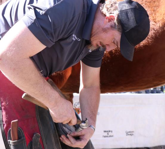 Happy trails to Tremonton Carriage association spends weekend in