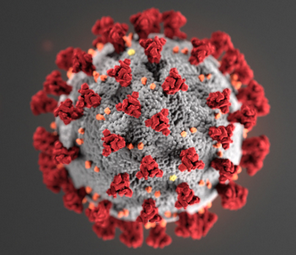Coronavirus