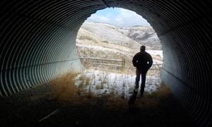 Chairman of Utah Wildlife Federation praises ongoing support for wildlife crossing efforts