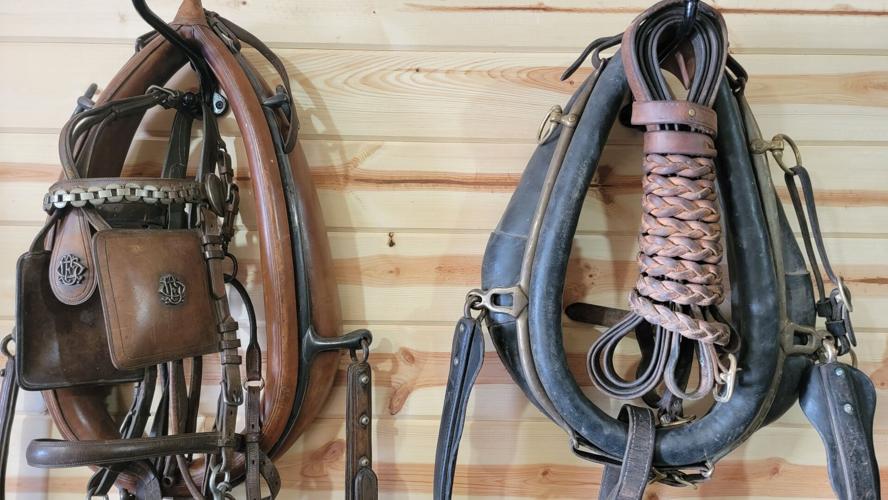 Happy trails to Tremonton Carriage association spends weekend in