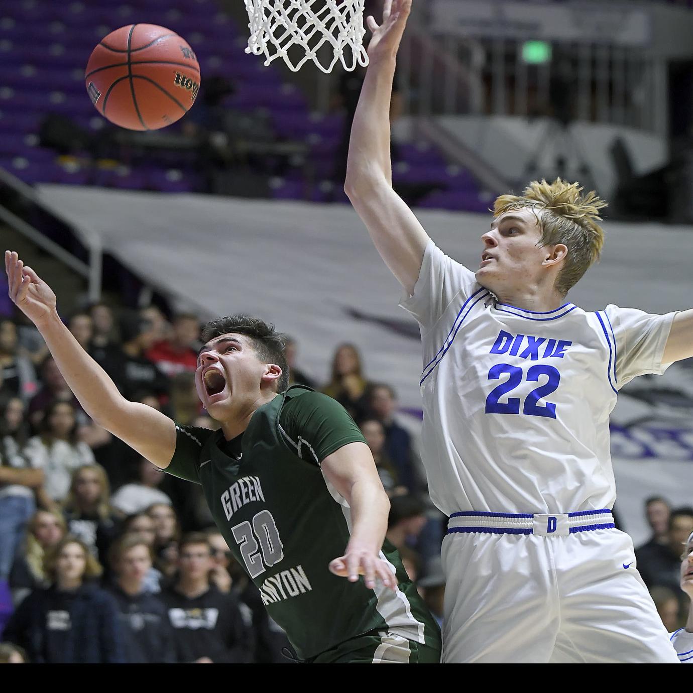 Wolves Not Whistling Dixie Fall In Quarterfinals School Sports Hjnews Com