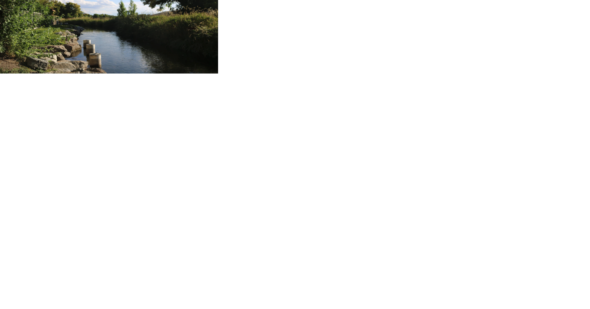 What is the economic impact of the Bear River? - Vimarsana News