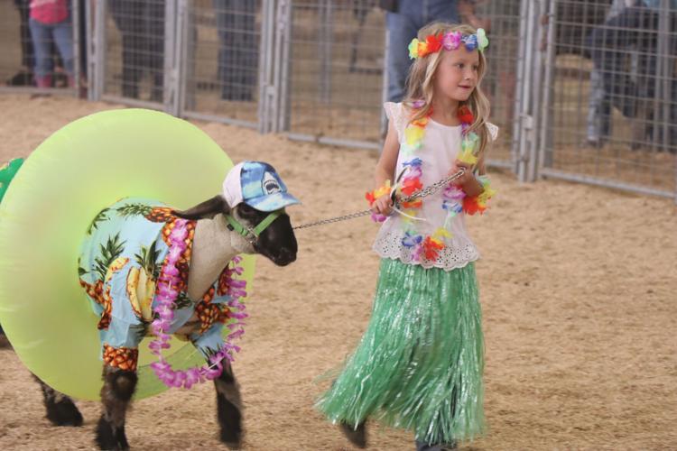 Box Elder County Fair schedule of events Tremonton Leader