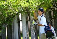 Cats roar at Cache-Box | Allaccess | hjnews.com