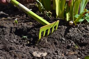Ask an Expert: Gardening counts as exercise, so protect your body while you work