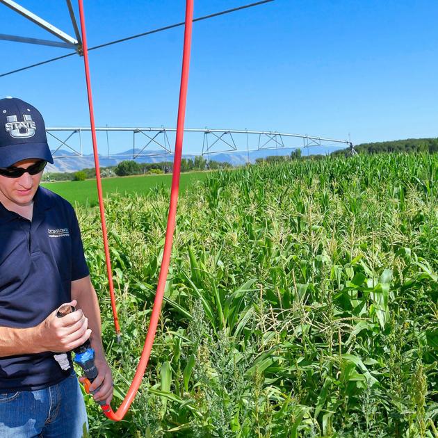 USU water optimization research surprising, but inconclusive | Education - The Herald Journal