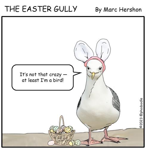 The Easter Gully