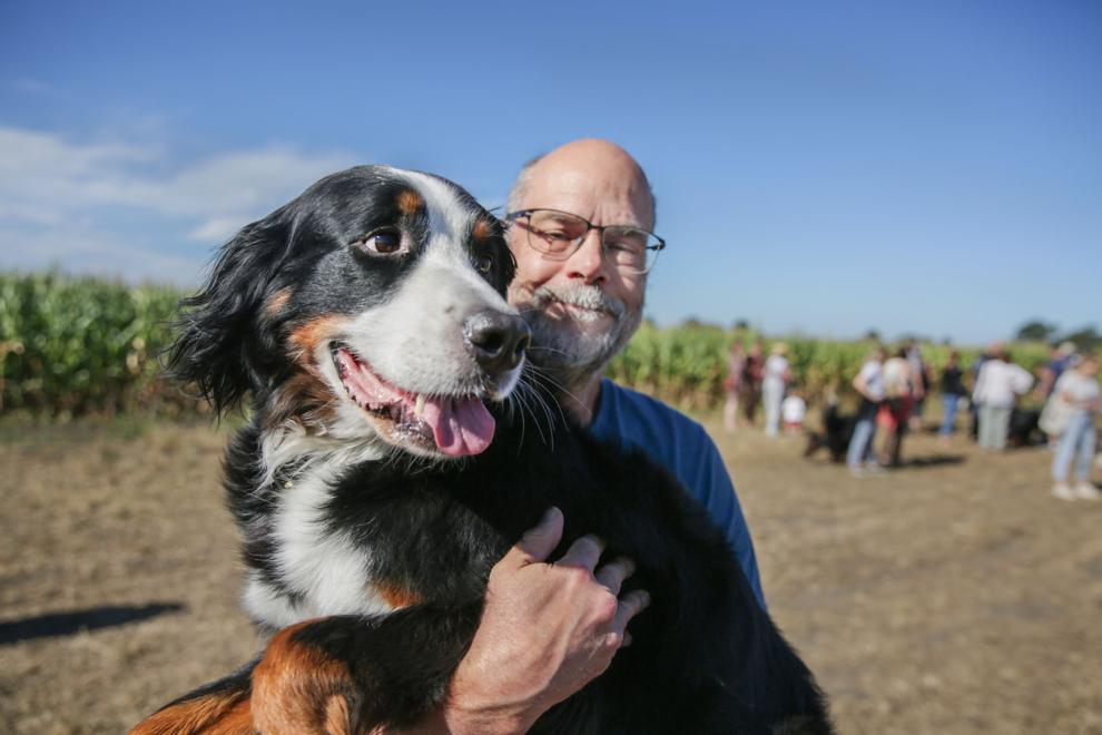 Bernese Mountain Dogs descend on pumpkin farm Local News
