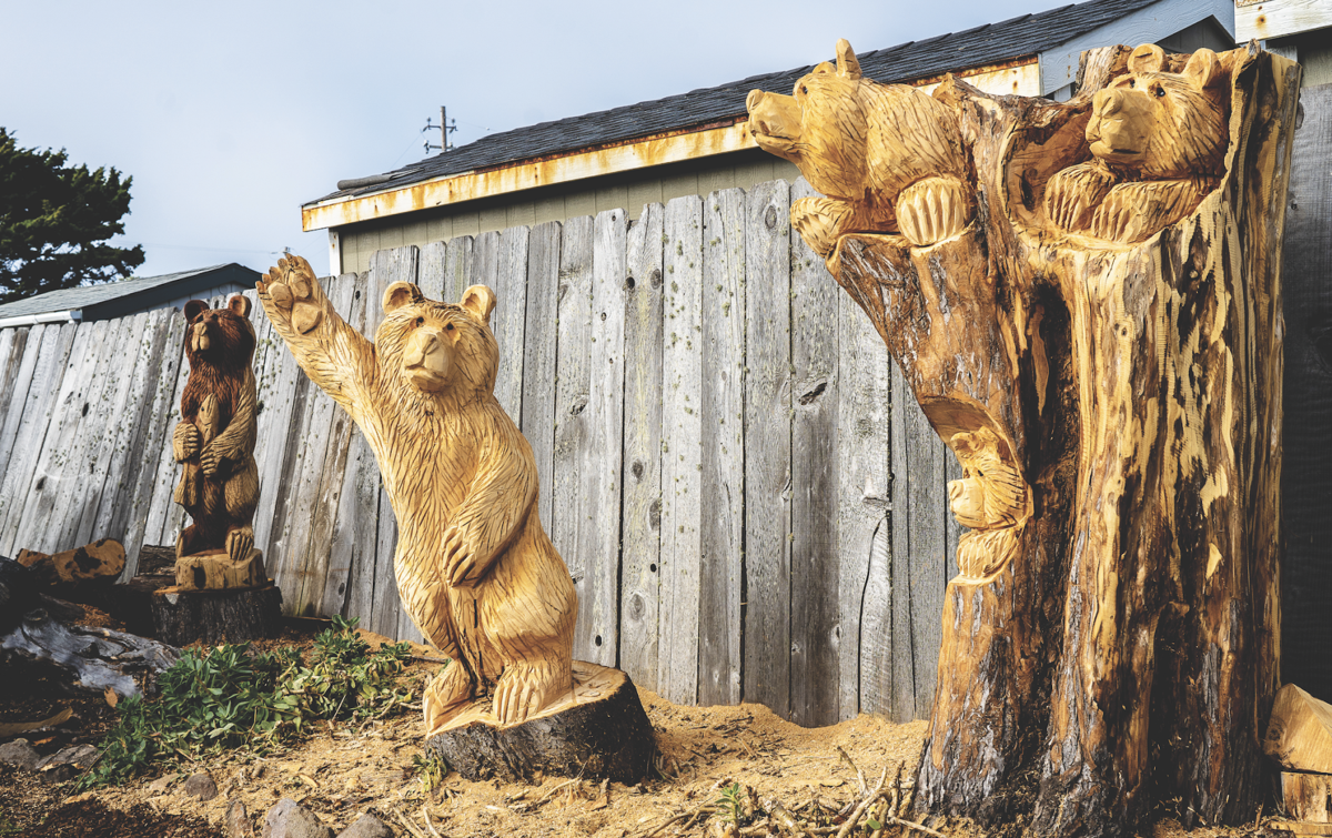 The Harmful Effects of Tree Carving - Boyce Thompson Arboretum