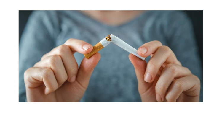 what is the margin on cigarettes Altria Revenue Breakdown And Profit Margin By Segment